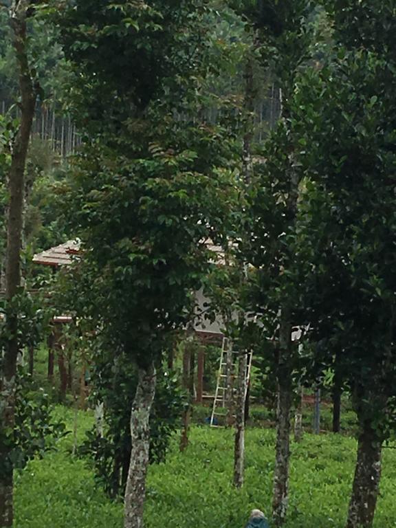 Villa Harmony Farm Wayanad à Sultan Bathery Extérieur photo